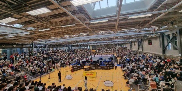 樊振东德甲首秀，两连败！2500名观众涌入，对手：他需要时间